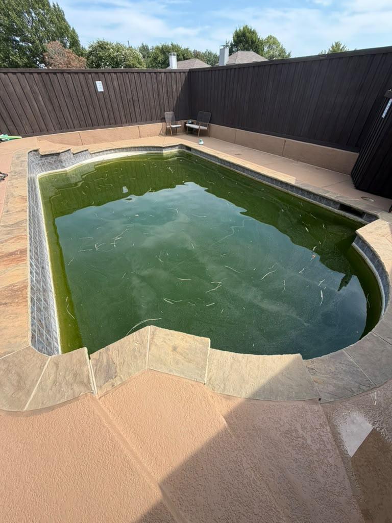 Residential pool with green water before work