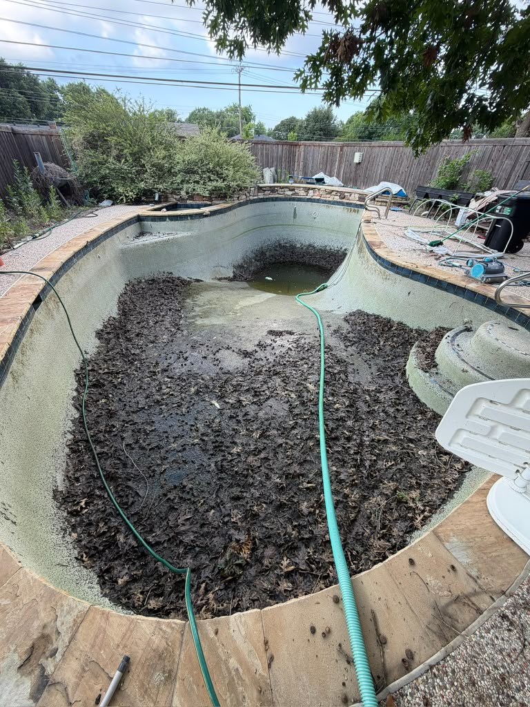 Drained pool with accumulated leaves and debris